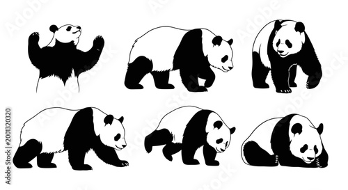 Set of Giant Panda Silhouettes in Various Poses