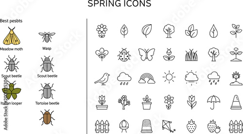 Spring icon set with garden pests featuring moth, wasp, beetle, butterfly, flower, plant, rain and nature outline symbols