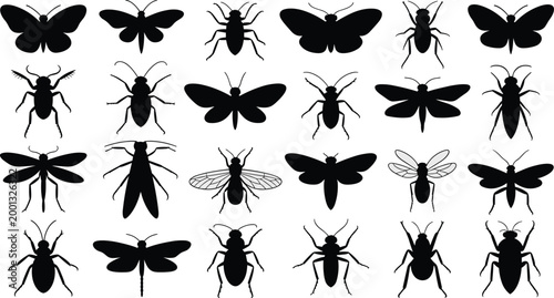 Insect silhouettes set isolated on white background, various bugs including butterfly dragonfly beetle fly vector illustration collection
