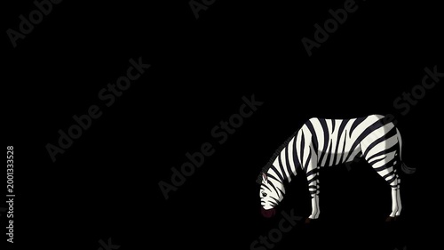Cartoon Zebra alpha matte 2D animation HD
