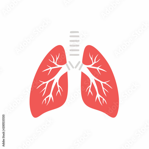 Stylized Illustration of Human Lungs