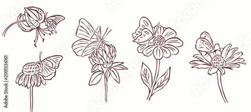 flowers with butterfly hand drawn sketch vector illustration collection set