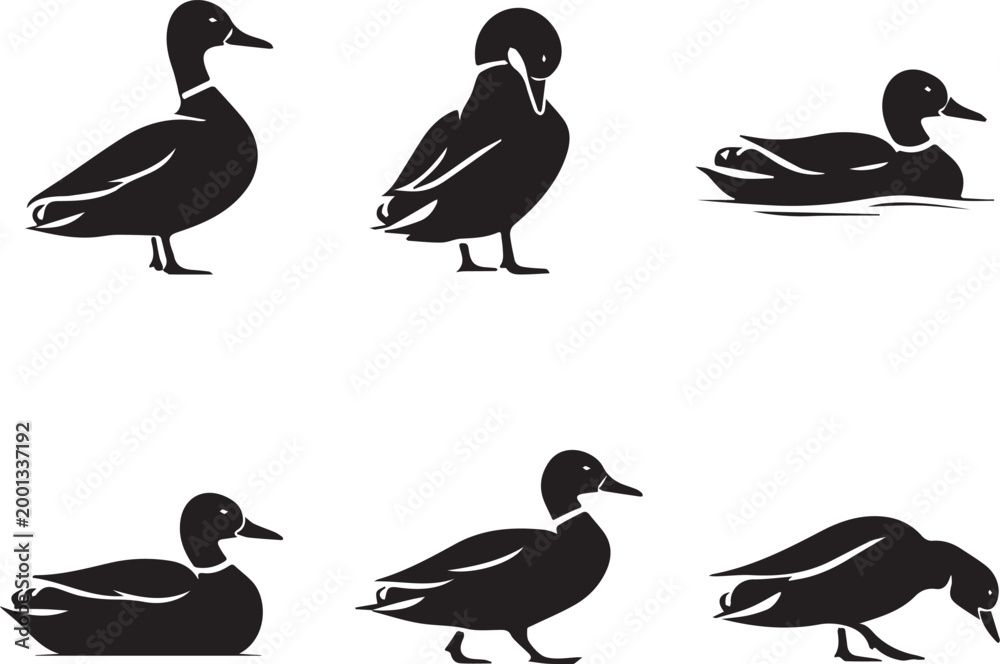 Obraz premium Duck Silhouette Set