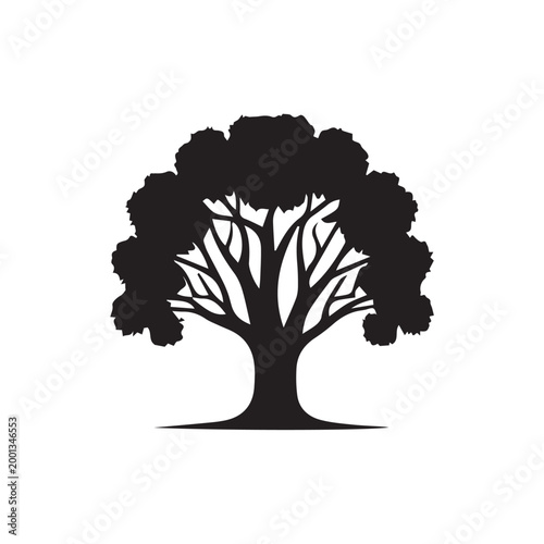 tree silhouette isolated on white background