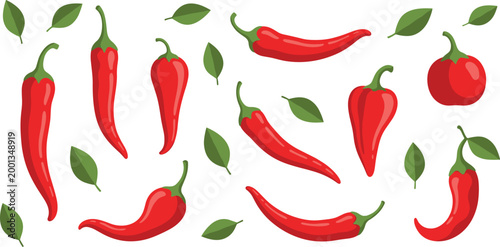 Red chili pepper collection with fresh spicy vegetables and green leaves isolated colorful vector illustration for cooking and food design