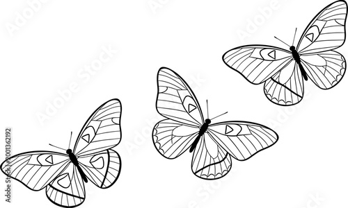 Wide panoramic black and white line art vector illustration of three beautiful butterflies flying in a group isolated on a clean white background.