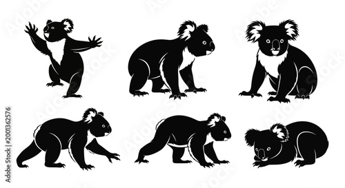 Set of Koala Silhouettes in Various Poses on White Background