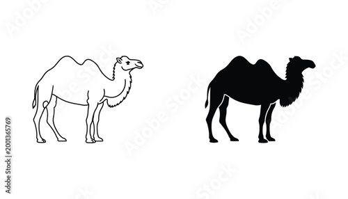 Camel animal icon set in line art and solid black silhouette styles for desert travel or wildlife education graphic projects