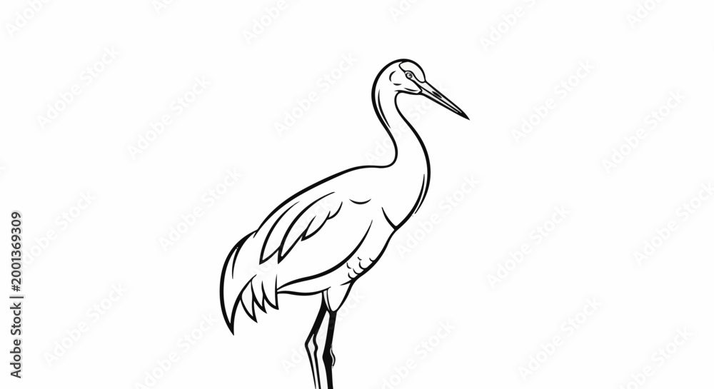 Fototapeta premium A simple black and white sketch of a solitary elegant bird with long legs and neck