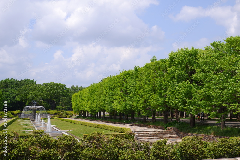 Obraz premium park
