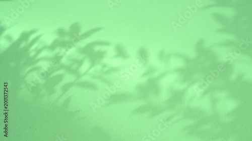 4K Minimal silhouette shadow light of tropical leaves swaying in the wind on green color clean cement wall background in slow motion. for summer healthy concept