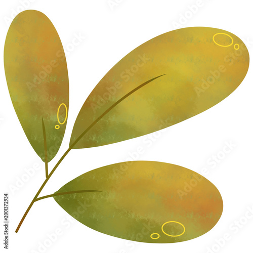 Watercolor Green Leaves Botanical Clipart