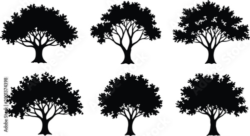 Set of detailed tree silhouettes with branching canopy shapes, natural woodland elements isolated for landscape design and vector illustration