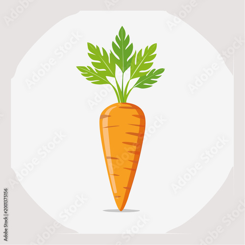 Illustration of a single fresh carrot with green leaves