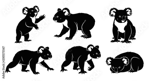 Set of Koala Silhouettes in Various Poses