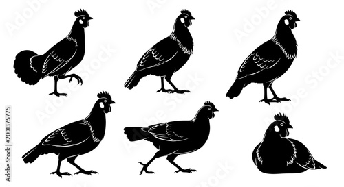 Set of Black Silhouettes of Grouse Birds in Various Poses