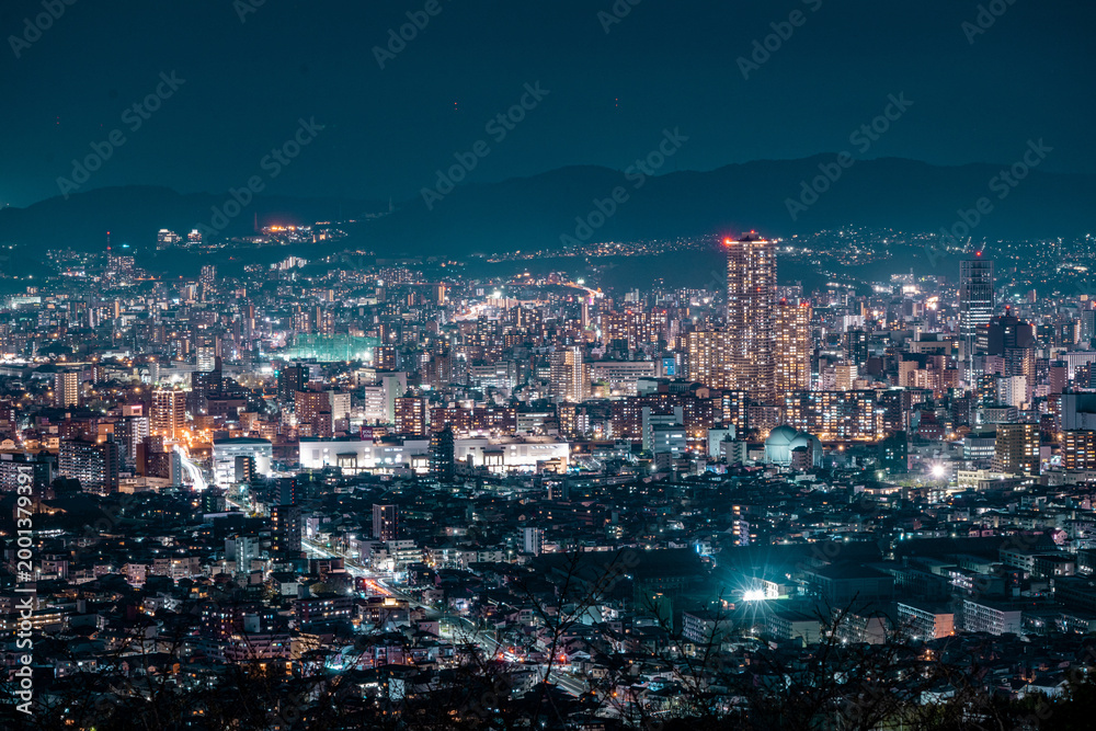 Obraz premium Hiroshima Night Cityscape with Dense Urban Skyline