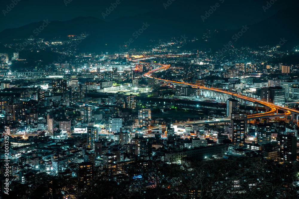 Fototapeta premium Hiroshima Night Cityscape with Dense Urban Skyline