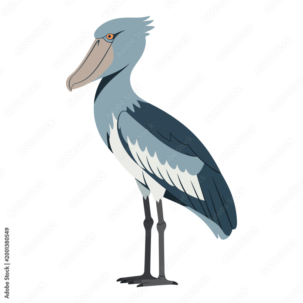 Fototapeta premium shoebill