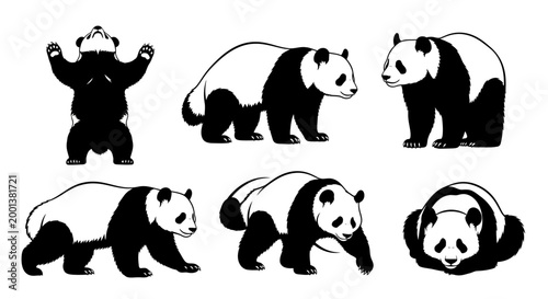 Set of Giant Panda Silhouettes in Various Poses