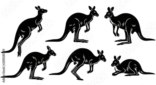 Set of Kangaroo Silhouettes in Various Poses Vector Illustration