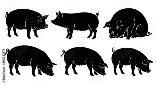 Set of Pig Silhouettes in Various Poses