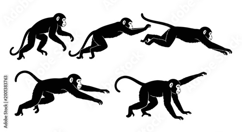 Monkey Silhouette Animation Sequence: Five Poses of a Primate in Motion