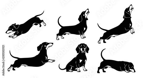 Set of Dachshund Dog Silhouettes in Various Poses