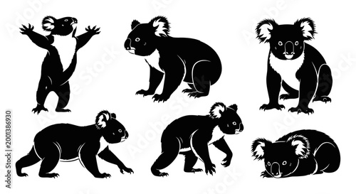 Set of Koala Bear Silhouettes in Various Poses