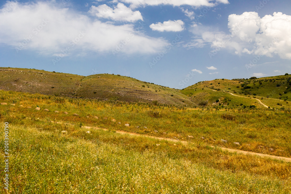 Fototapeta premium Travel and adventure in Israel. Northern Israel landscape with green hills, fields, and blooming wildflowers.