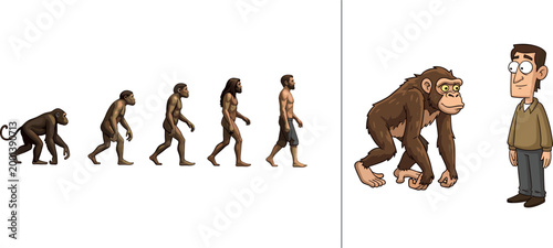 Human evolution cartoon illustration showing primate to modern man progression with character comparison isolated on white background for education