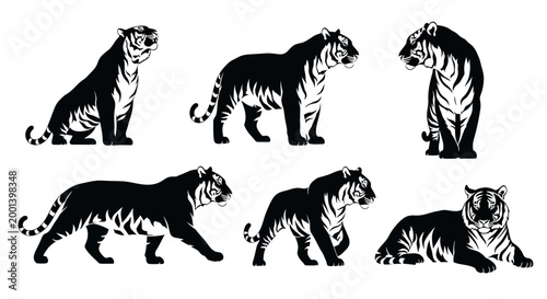 Tiger Silhouette Set, Black and White Vector Animal Collection