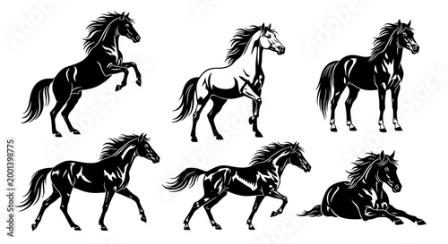 Set of Black and White Horse Silhouettes in Various Poses