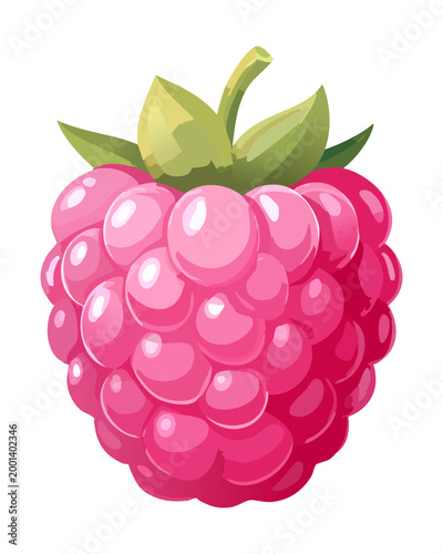 Stylized red raspberry fruit illustration for culinary art and sweet food themed graphic designs - Vector Illustration