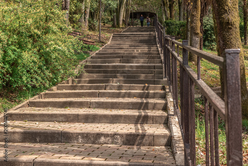 Garden steps covered with  fallen foliage