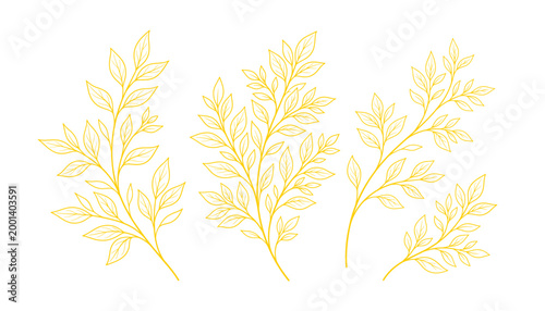 Yellow branches with leaves delicate outline transparent vector graphic illustration.