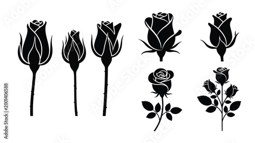 Elegant black rose arrangements in a striking floral silhouette