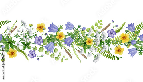 Floral border clipart png with wildflowers meadow plants and leaves isolated for wedding invitation design, greeting cards, packaging, stationery and spring seasonal layouts watercolor illustration