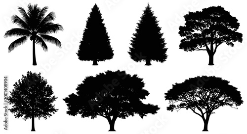 Set of Black Tree Silhouettes - Various Types and Shapes
