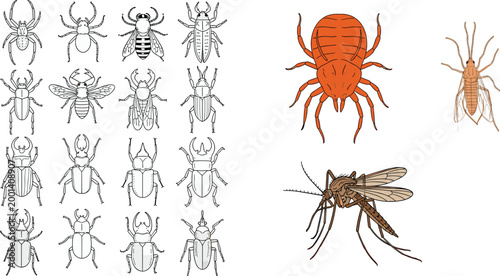 Insect and arachnid collection with beetles spider mite and mosquito detailed line art and colored vector illustration set