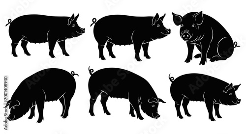 Set of Black Pig Silhouettes in Various Poses
