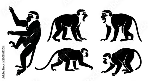 Set of Monkey Silhouettes in Various Poses