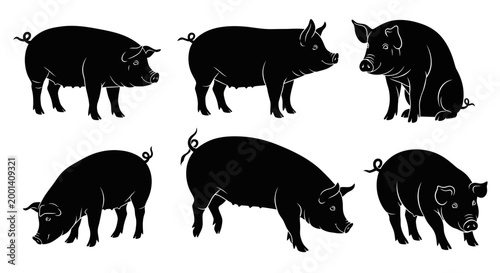Set of Pig Silhouettes in Various Poses