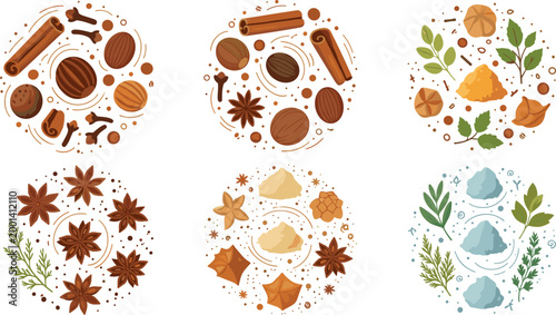 Circular spice and herb arrangements featuring cinnamon sticks star anise nutmeg and various aromatic powders for organic cooking culinary art and seasoning vector illustration.