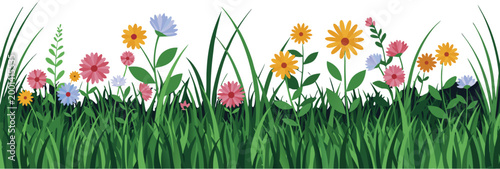 Vibrant colorful flowers and green grass on white background natural scenery