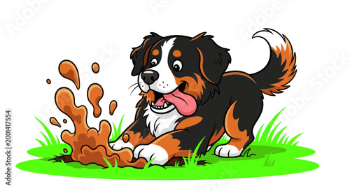 Bernese Mountain Dog Puppy Playing in Mud Puddle