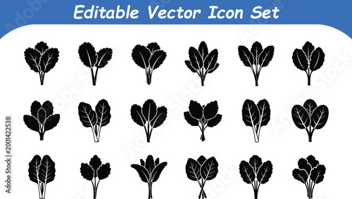 Collection of various vegetable leaves and herbs icon set with vegetable