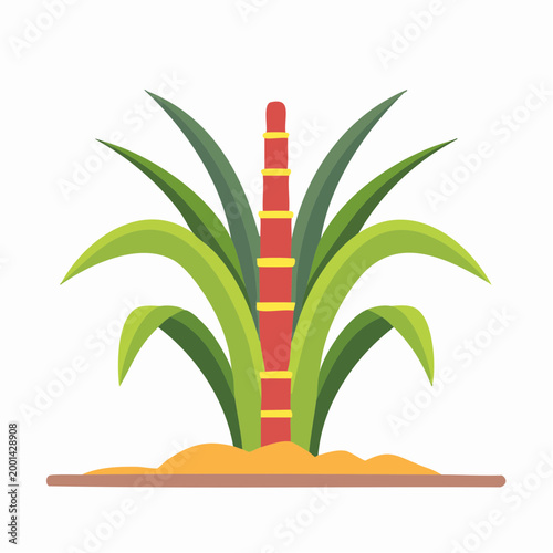 Sugarcane Plant Illustration