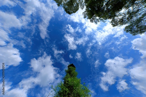 A blue sky filled with fluffy white clouds above green trees.