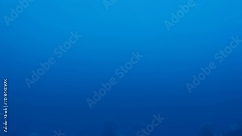 A vast and mysterious deep blue underwater expanse fills the frame, suggesting the profound depths of the ocean with minimal visible detail.
